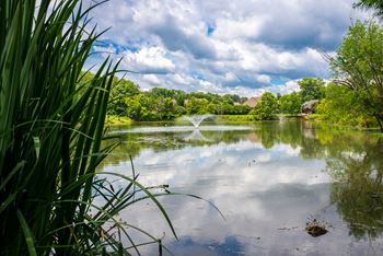 Stocked fishing pond